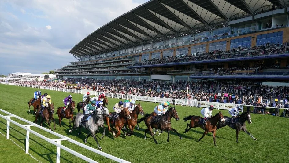 丘吉尔唐斯：肯塔基德比的摇篮 - 问鼎电竞官网